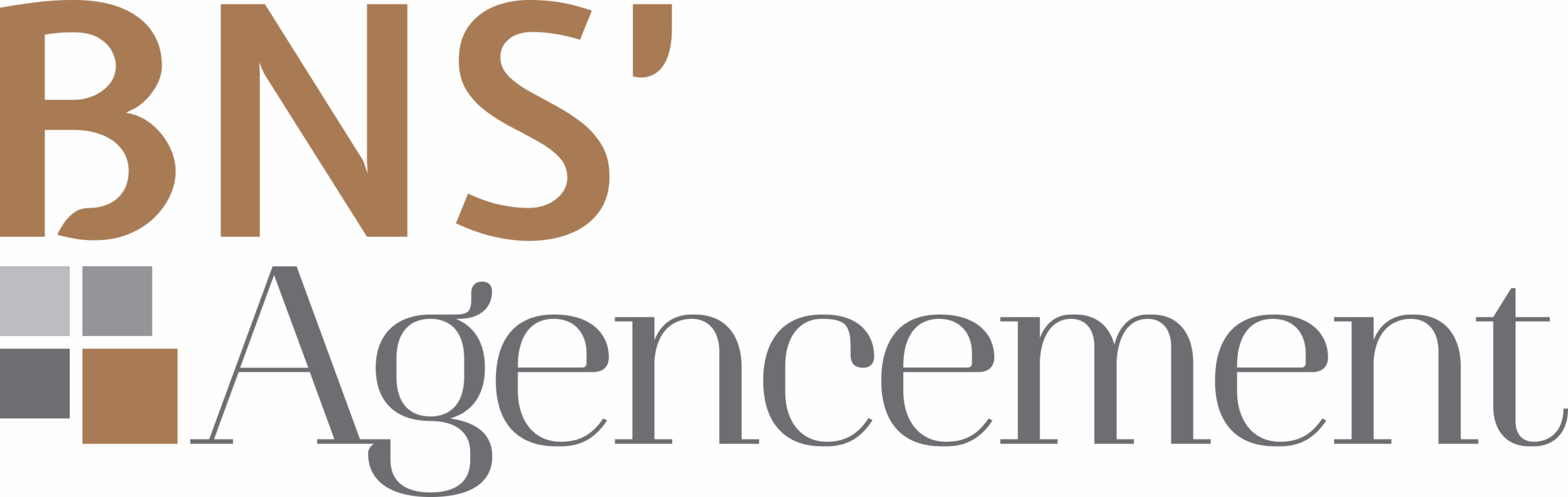 BNS'Agencement, Logo couleur