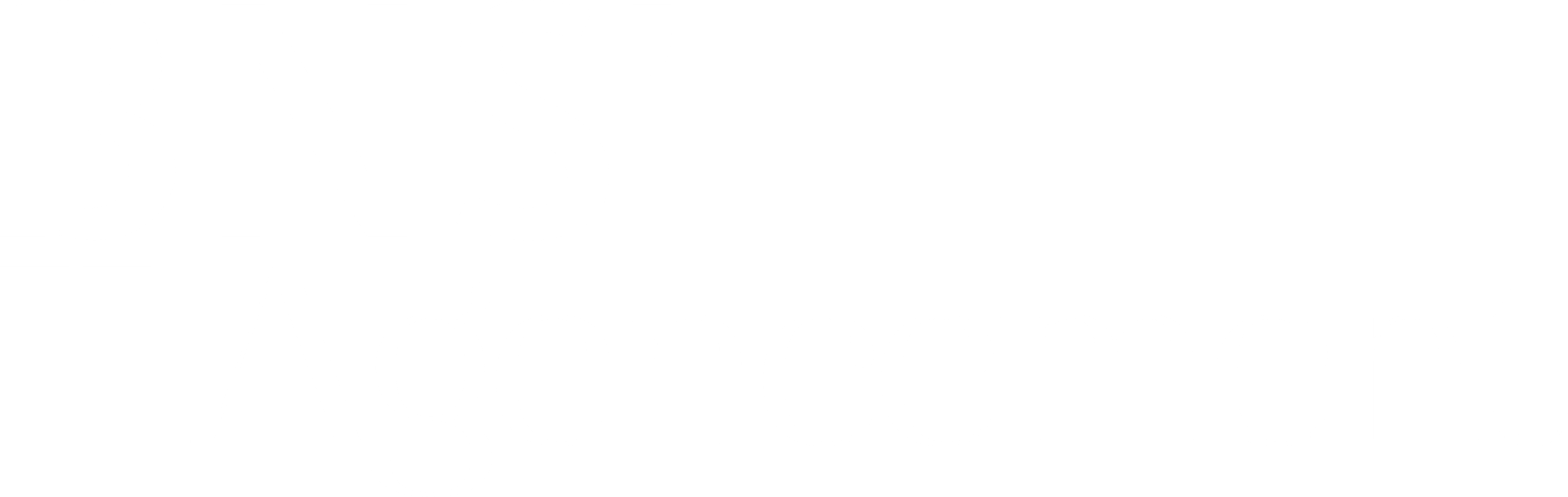 BNS'Agencement, Logo blanc