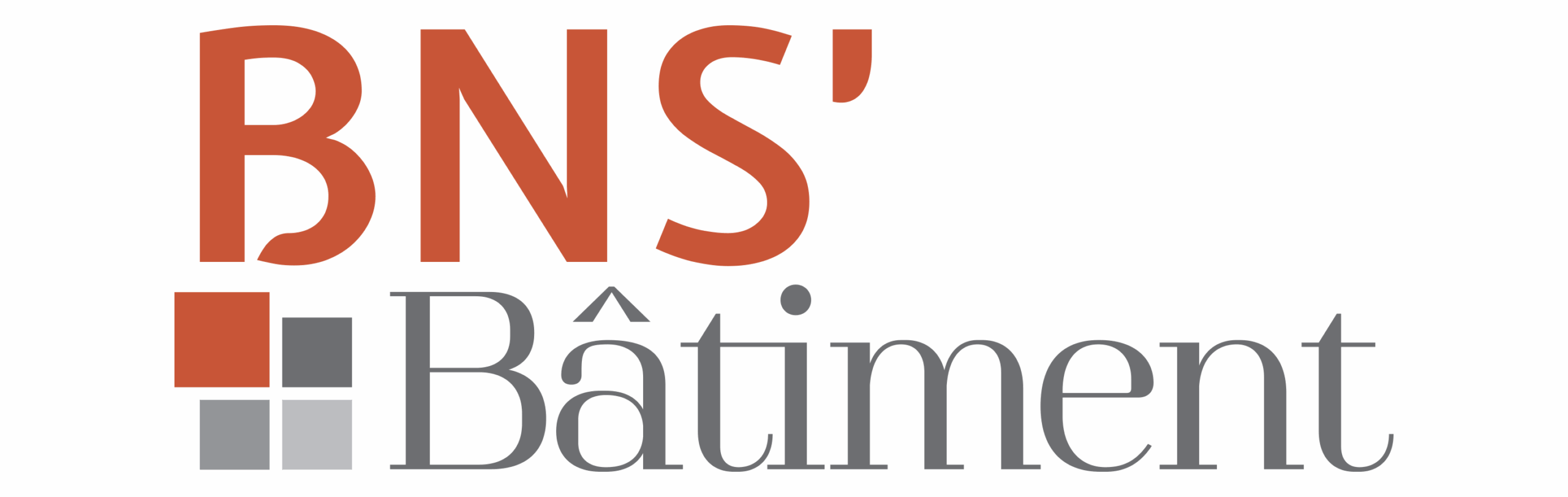 BNS'Bâtiment, Logo couleur