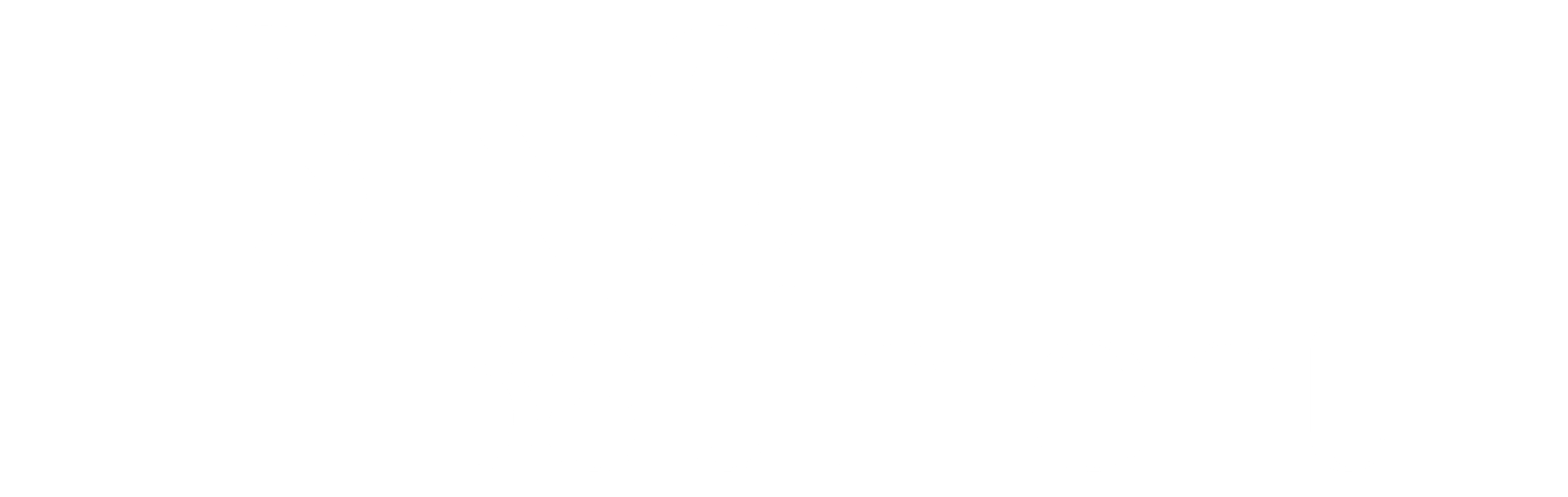 BNS'Bâtiment, Logo blanc