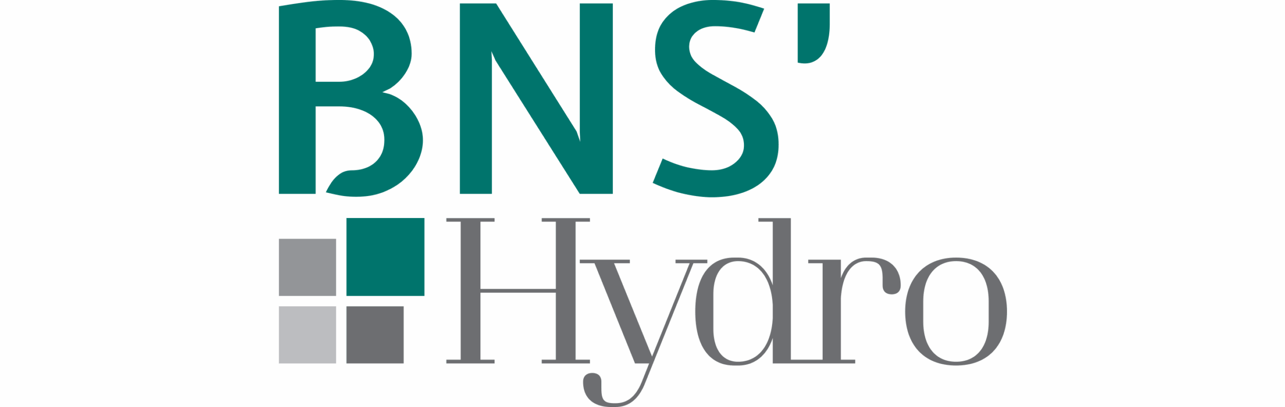 BNS'Hydro, Logo couleur