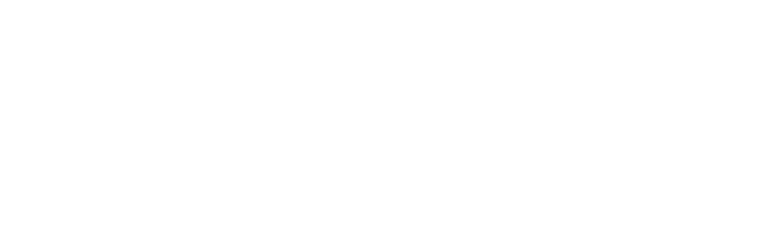 BNS'Hydro, Logo blanc