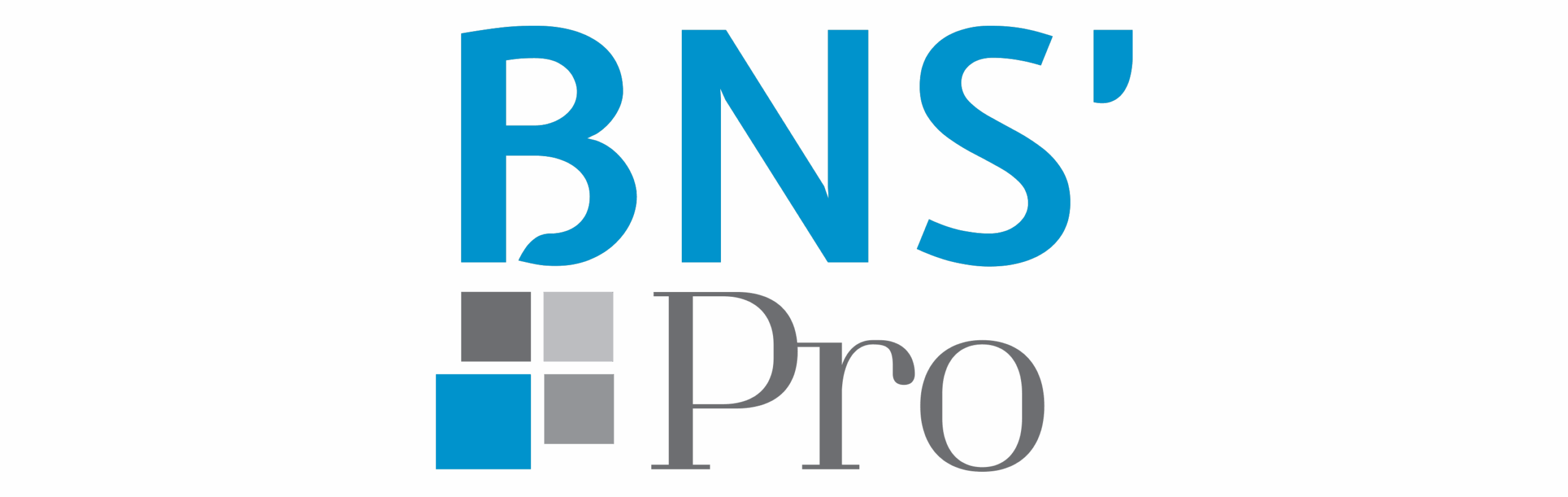 BNS'Pro, Logo couleur