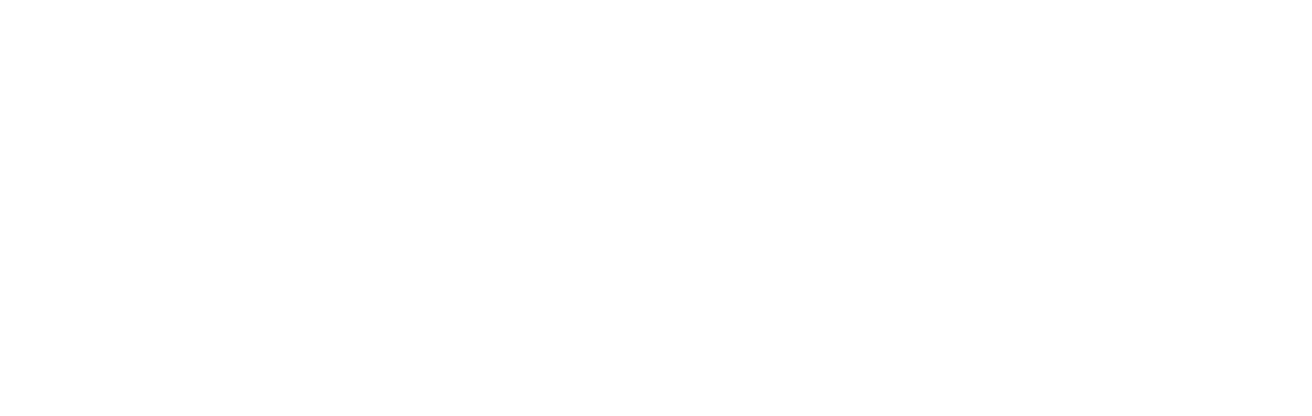 BNS'Pro, Logo blanc