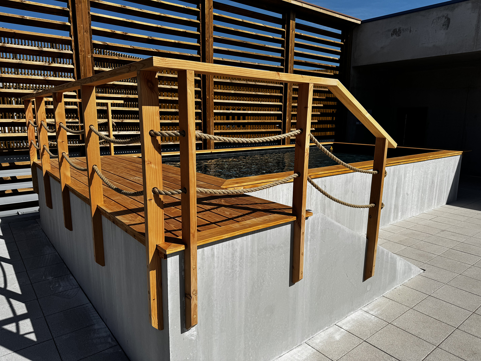 Showroom BNS'eau - piscine exposition / Escalier bois